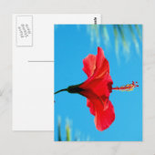 BASIEREND AUF DER SONNE DES ABENDS POSTKARTE (Vorne/Hinten)