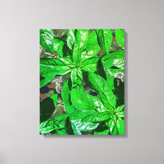 Basil Blätter Foto Art Wrapped Canvas Leinwanddruck (Vorderseite)