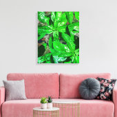Basil Blätter Foto Art Wrapped Canvas Leinwanddruck (Insitu (Wohnzimmer))