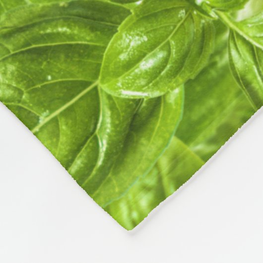Basil-Blätter-Muster Fleecedecke (Ecke)