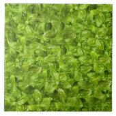 Basil-Blätter-Muster Fliese (Vorderseite)