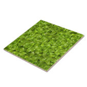 Basil-Blätter-Muster Fliese (Seite)