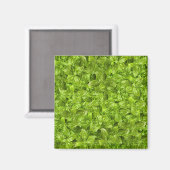 Basil-Blätter-Muster Magnet (Vorderseite/Rückseite)