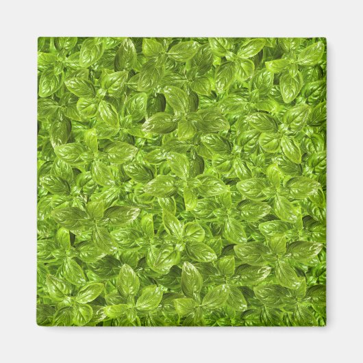 Basil-Blätter-Muster Magnet (Vorne)
