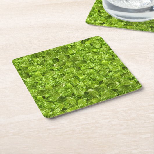 Basil-Blätter-Muster Rechteckiger Pappuntersetzer (angewinkelt)