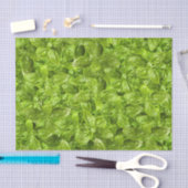 Basil-Blätter-Muster Seidenpapier (Handwerk)