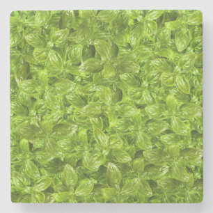 Basil-Blätter-Muster Steinuntersetzer