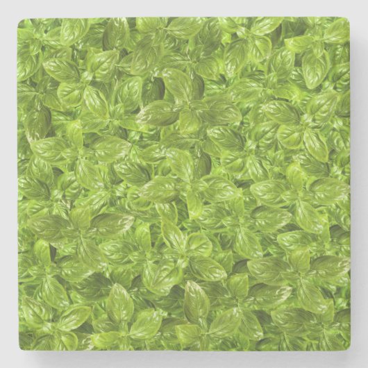 Basil-Blätter-Muster Steinuntersetzer (Vorderseite)