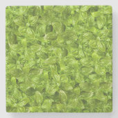 Basil-Blätter-Muster Steinuntersetzer (Vorderseite)