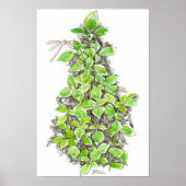 Basil Dragonfly Ink Zeichnend Wasserfarbe Poster (Vorne)