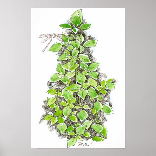 Basil Dragonfly Ink Zeichnend Wasserfarbe Poster (Vorne)