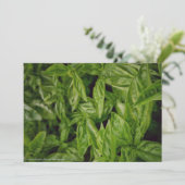 Basil Fine Art Ankündigung (Stehend Vorderseite)
