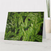 Basil Fine Art Karte (Vorderseite)
