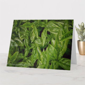 Basil Fine Art Karte