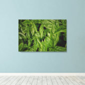 Basil Fine Art Leinwanddruck (Insitu (Holzboden))
