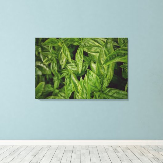 Basil Fine Art Leinwanddruck (Insitu (Holzboden))