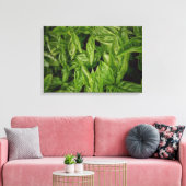 Basil Fine Art Leinwanddruck (Insitu (Wohnzimmer))
