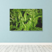 Basil Fine Art Leinwanddruck (Insitu (Holzboden))