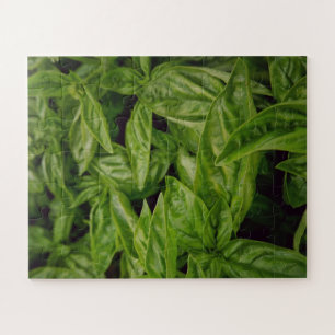 Basil Fine Art Puzzle