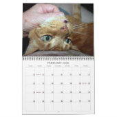 Basil Ginger Cat Personalisiert Calendar 2023 Kalender (Feb 2026)