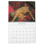 Basil Ginger Cat Personalisiert Calendar 2023 Kalender (Jan 2026)