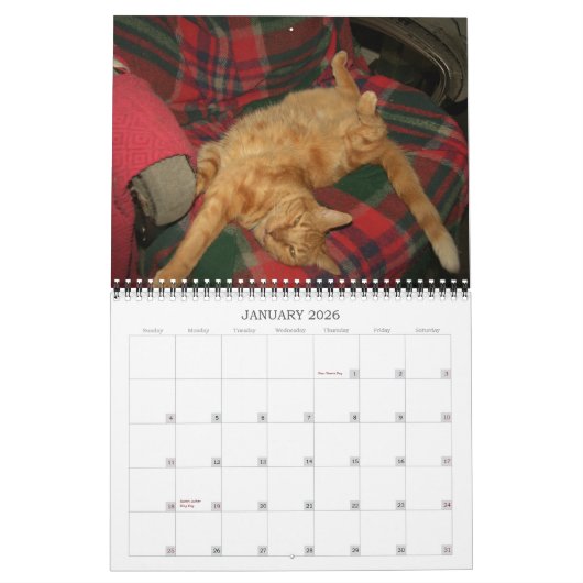 Basil Ginger Cat Personalisiert Calendar 2023 Kalender (Jan 2026)