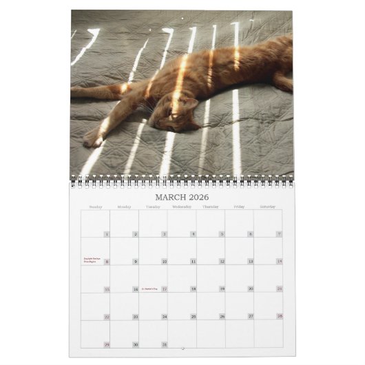 Basil Ginger Cat Personalisiert Calendar 2023 Kalender (Mär 2026)