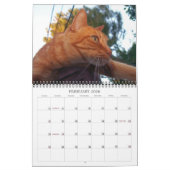 Basil Ginger Cat Personalisiert Calendar 2024 Kalender (Feb 2026)