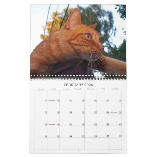 Basil Ginger Cat Personalisiert Calendar 2024 Kalender (Feb 2026)