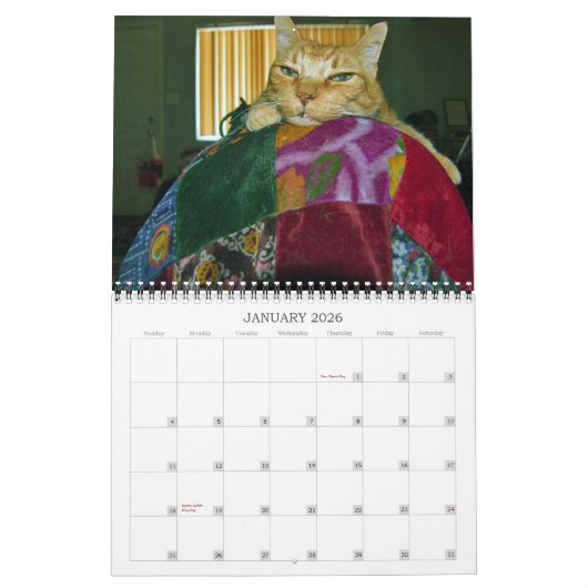 Basil Ginger Cat Personalisiert Calendar 2024 Kalender (Jan 2026)