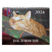 Basil Ginger Cat Personalisiert Calendar 2024 Kalender (Titelbild)