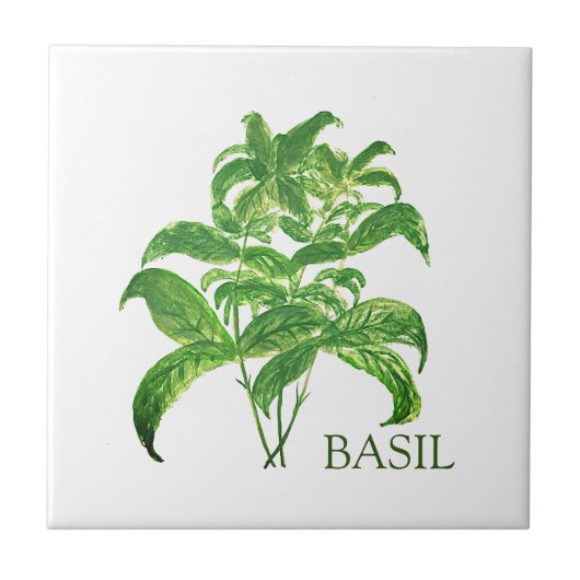 Basil Herb Grüne Küche Kulinarisches Grün Fliese (Vorderseite)