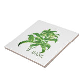 Basil Herb Grüne Küche Kulinarisches Grün Fliese (Seite)