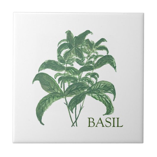 Basil Herb Grüne Küche Kulinarisches Grün Fliese (Vorderseite)