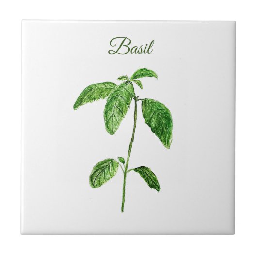 Basil Herb Grüne Küche Kulinarisches Grün Rustikal Fliese (Vorderseite)