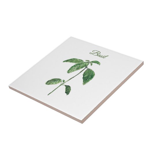 Basil Herb Grüne Küche Kulinarisches Grün Rustikal Fliese (Seite)