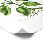 Basil Herb Küche Ausstattung Poster (Ecke)