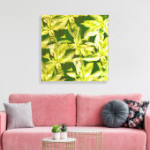 Basil Herb, Küche Kunst, überzogene Canvas Leinwanddruck (Insitu (Wohnzimmer))