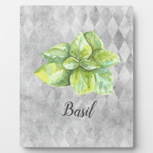 Basil Herb Watercolor Illustration Fotoplatte