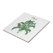 Basil Herbs Grüne Küche Grüne Pflanze Fliese (Seite)