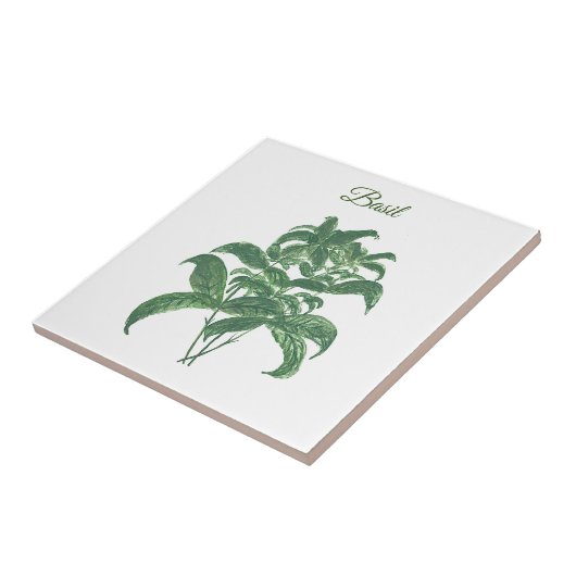 Basil Herbs Grüne Küche Grüne Pflanze Fliese (Seite)