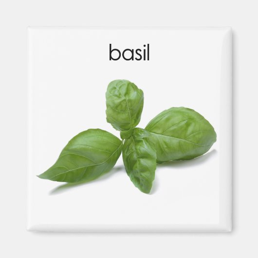 Basil Kühlschrank Magnet (Vorne)