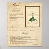 BASIL MAGICK HERB POSTER (Vorne)