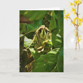 "Basil-Mit Augen" Get Well-Card Karte (Gelbe Blume)