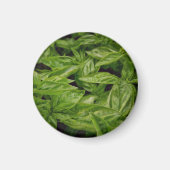 Basil-Notizbuch Magnet (Vorne)