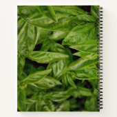 Basil-Notizbuch Notizblock (Rückseite)