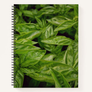 Basil-Notizbuch Notizblock