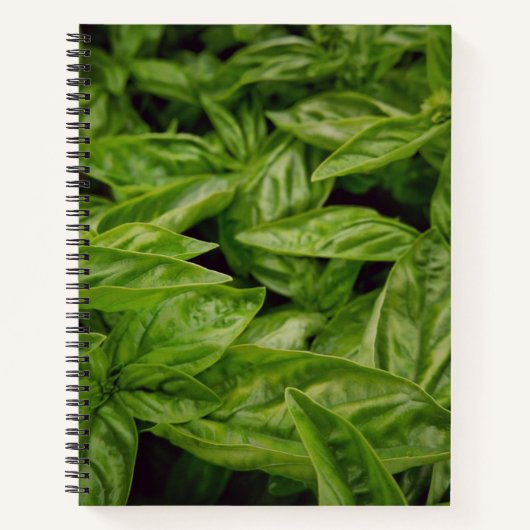 Basil-Notizbuch Notizblock (Vorderseite)