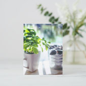 Basil-Pflanze Postkarte (Stehend Vorderseite)