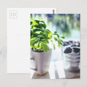 Basil-Pflanze Postkarte (Vorne/Hinten)